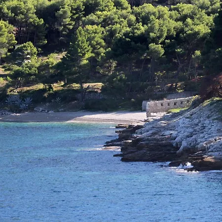 Apartment 2436a Vis