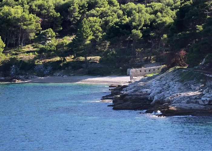 Apartment 2436a Vis